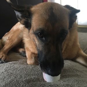 Meet your Posher, Mauro